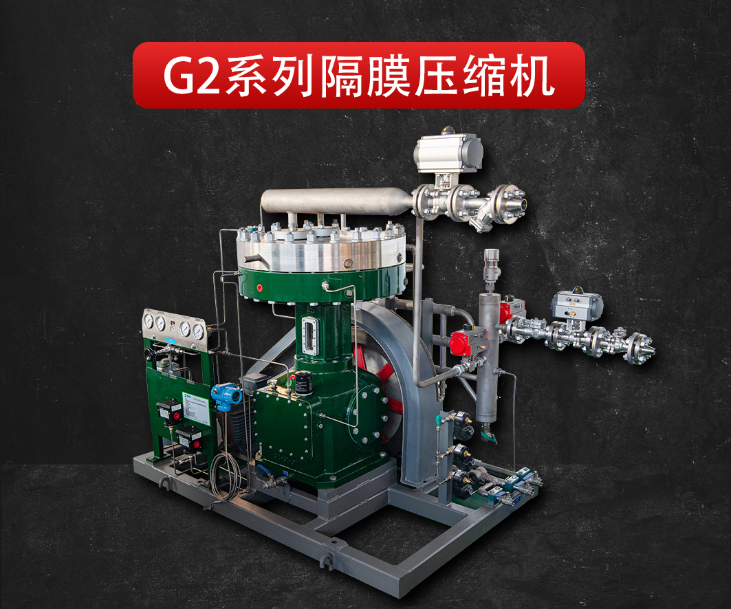 yl6809永利-G2系列隔膜压缩机