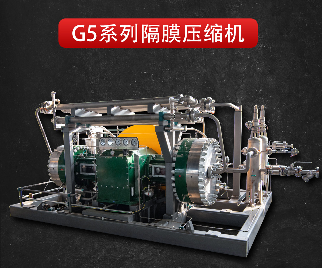 yl6809永利-G5系列隔膜压缩机